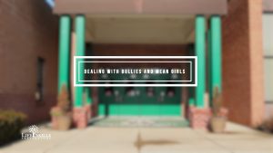 Dealing With Bullies or Mean Girls